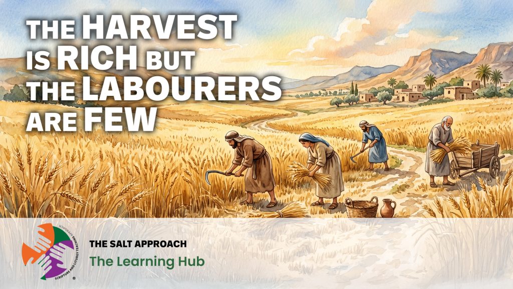 Harvest is Rich - Video Thumbnail